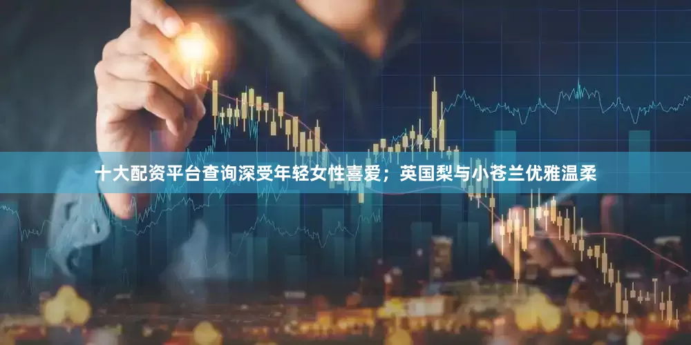 十大配资平台查询深受年轻女性喜爱；英国梨与小苍兰优雅温柔